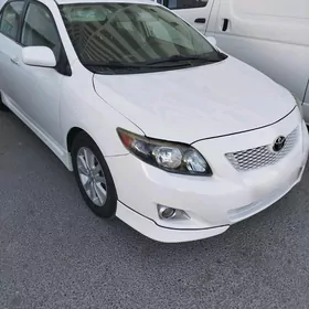 Toyota Corolla 2010