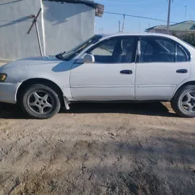 Toyota Corolla 1995