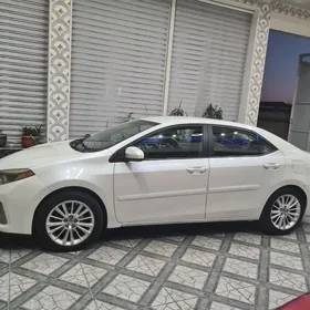 Toyota Corolla 2013