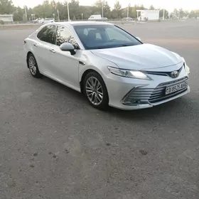 Toyota Camry 2019