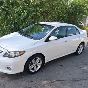 Toyota Corolla 2013