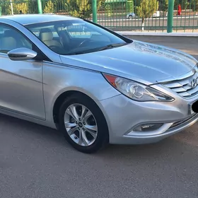 Hyundai Sonata 2010