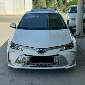 Toyota Corolla 2024