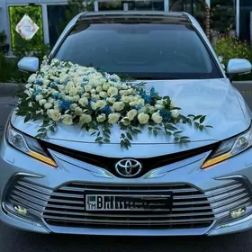 Masyn bezeg camry 23 prokat