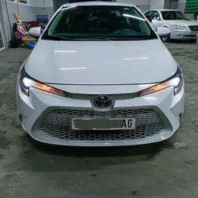 Toyota Corolla 2021