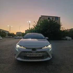 Toyota Corolla 2021