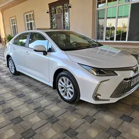 Toyota Corolla 2024