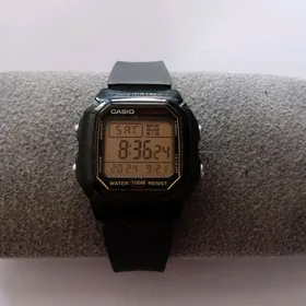 Casio illuminator