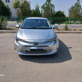 Toyota Corolla 2019