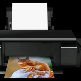 Epson L805