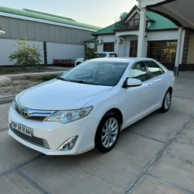 Toyota Camry 2013