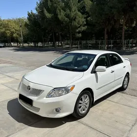 Toyota Corolla 2010