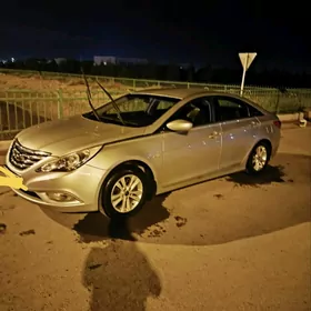 Hyundai Sonata 2010