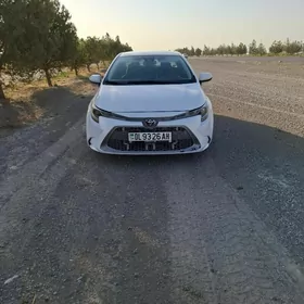 Toyota Corolla 2019