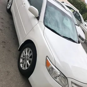 Toyota Camry 2010