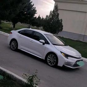 Toyota Corolla 2020