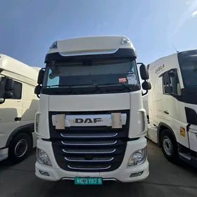 DAF 480 2019