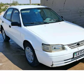 Toyota Corolla 1995