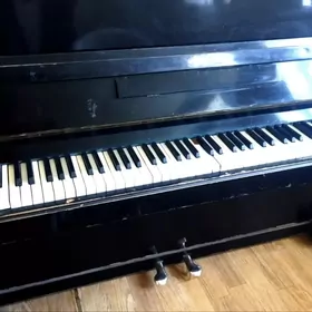 pianino