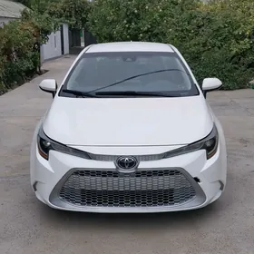 Toyota Corolla 2020