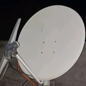 antena tarelka kici