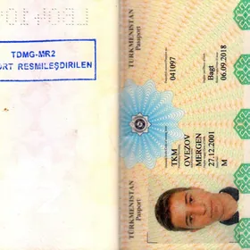 pasport yitdi