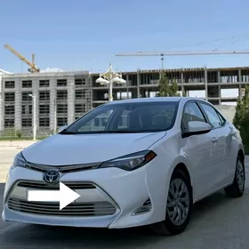 Toyota Corolla 2019