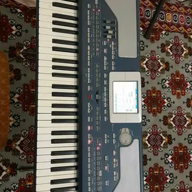 korg pa800