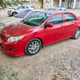 Toyota Corolla 2010