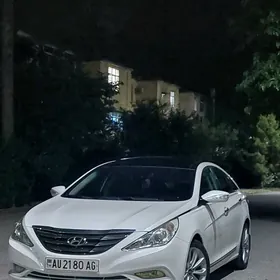 Hyundai Sonata 2010