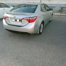 Toyota Corolla 2013