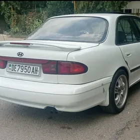 Hyundai Sonata 1993