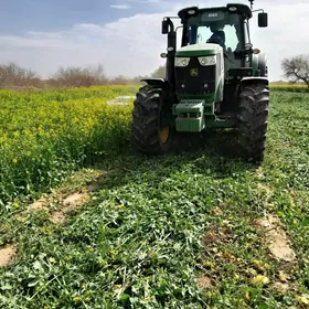 MTZ 80 2008