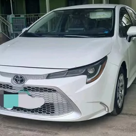 Toyota Corolla 2020