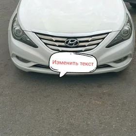 Hyundai Sonata 2010