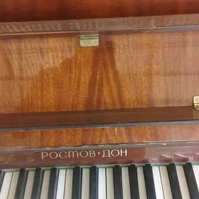 pianino " Ростов дон"