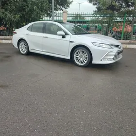 Toyota Camry 2024