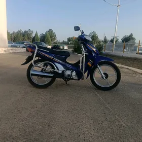 Fekon FK150-8G 2019