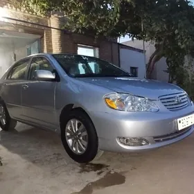 Toyota Corolla 2007