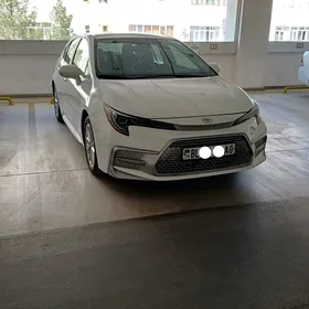 Toyota Corolla 2021