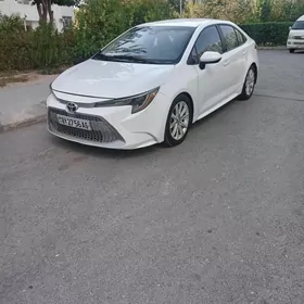 Toyota Corolla 2019