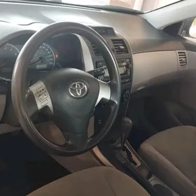 Toyota Corolla 2013