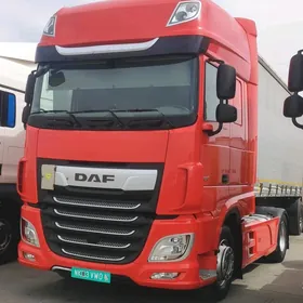 DAF 480 2019