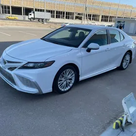 Toyota Camry 2019