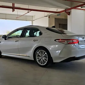 Toyota Camry 2019