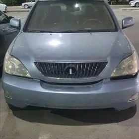 Lexus RX 330 2004