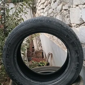 255/55 R 19yk