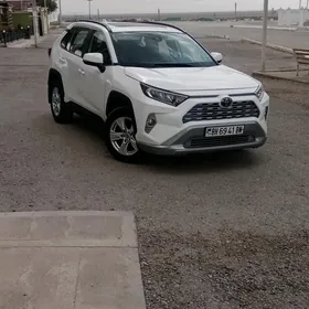 Toyota RAV4 2019