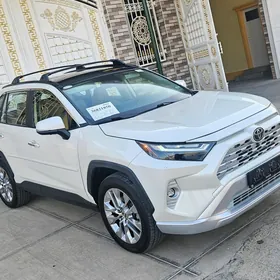 Toyota RAV4 2020