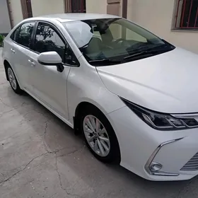 Toyota Corolla 2020